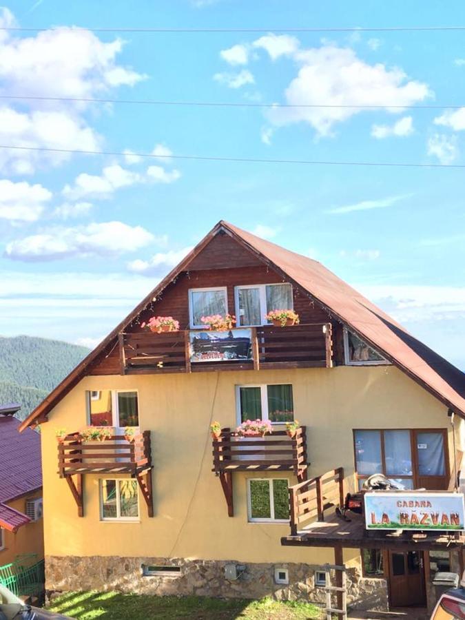Cabana La Razvan Petrosani Exterior photo